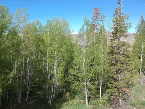 2175 Golden Eagle Rd, Silverthorne, CO 80498 photo 22