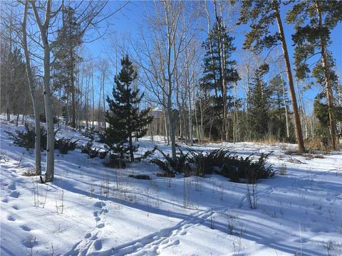 2175 Golden Eagle Rd, Silverthorne, CO 80498 photo 26