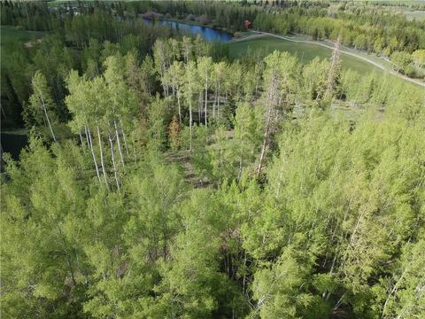 2175 Golden Eagle Rd, Silverthorne, CO 80498 photo 13