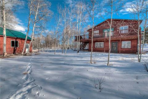 306 Vulture Ln, Como, CO 80432 photo 5