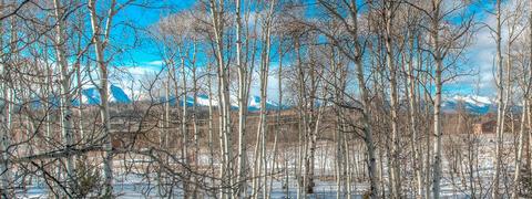 306 Vulture Ln, Como, CO 80432 photo 31