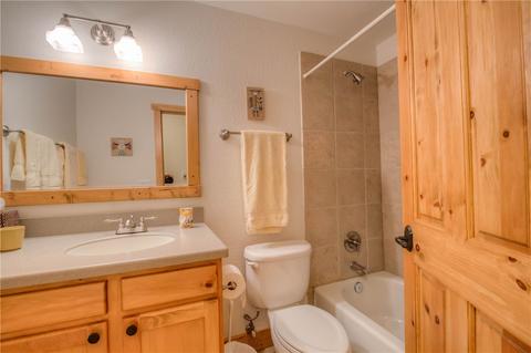 20 Black Bear Ct, Silverthorne, CO 80498 photo 30