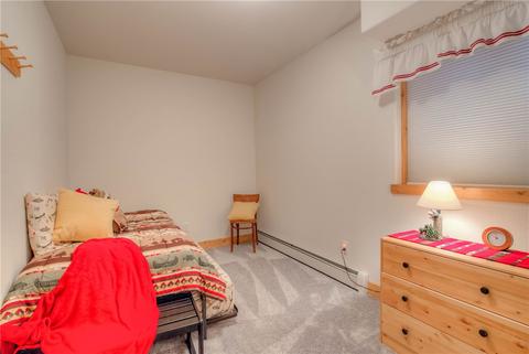 20 Black Bear Ct, Silverthorne, CO 80498 photo 29