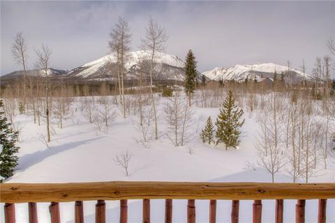 20 Black Bear Ct, Silverthorne, CO 80498 photo 25