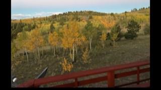 661 Pinto Dr, Como, CO 80432 photo 34