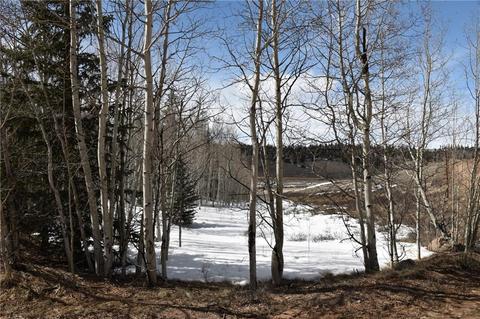 2195 Longbow Dr, Como, CO 80432 photo 4