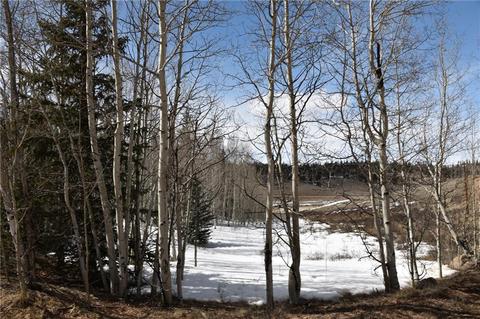 2195 Longbow Dr, Como, CO 80432 photo 3