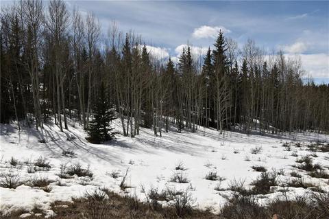 2195 Longbow Dr, Como, CO 80432 photo 5