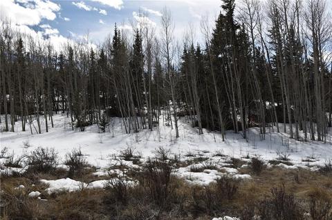 2195 Longbow Dr, Como, CO 80432 photo 12