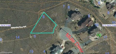 103 Mule Deer Ct, Dillon, CO 80435 photo 5
