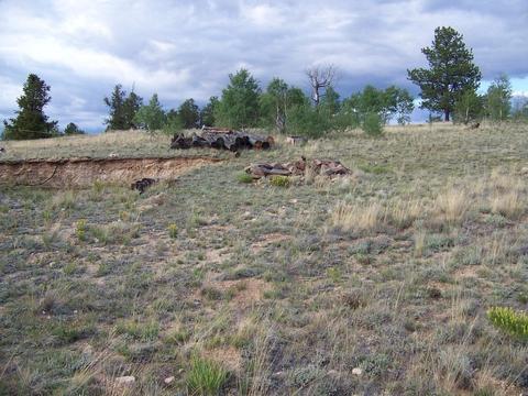 321 Buckskin Way, Como, CO 80432 photo 6