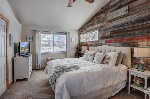 420 Brian Ave, Silverthorne, CO 80498 photo 19