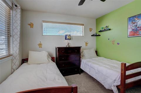 420 Brian Ave, Silverthorne, CO 80498 photo 23