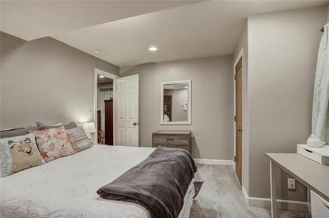 420 Brian Ave, Silverthorne, CO 80498 photo 32