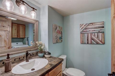420 Brian Ave, Silverthorne, CO 80498 photo 15
