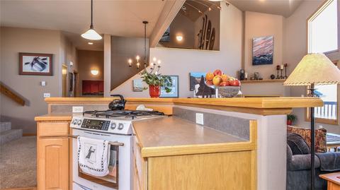 33 Lacy Dr, Silverthorne, CO 80498 photo 8