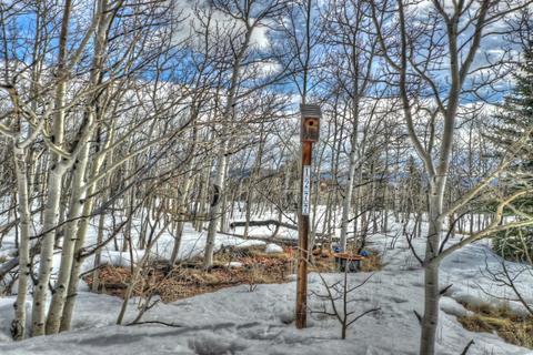 1277 Wampum Ln, Como, CO 80432 photo 11