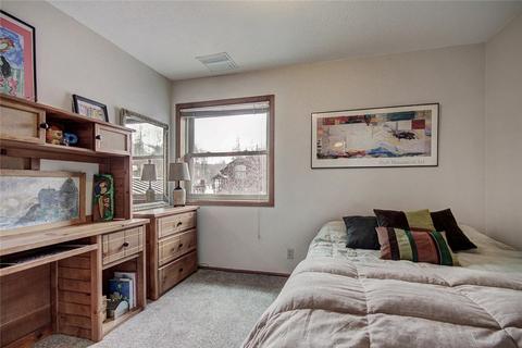 552 Ryan Gulch Rd, Silverthorne, CO 80498 photo 17