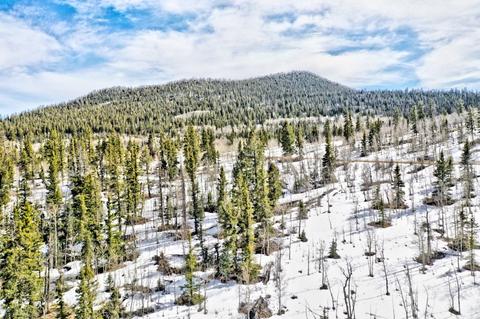 1486 Chief Trl, Como, CO 80432 photo 7
