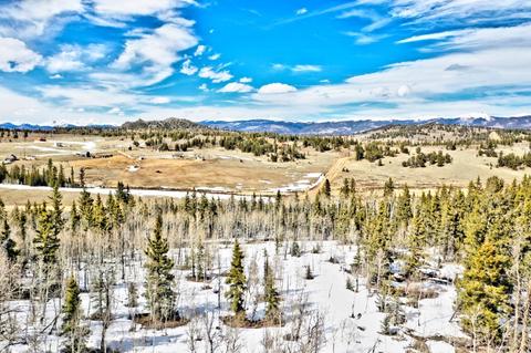 1486 Chief Trl, Como, CO 80432 photo 2