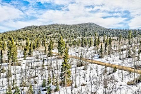 1486 Chief Trl, Como, CO 80432 photo 5