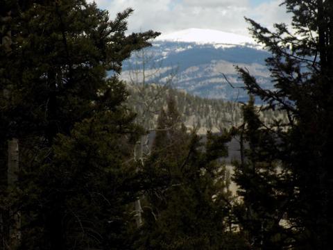 1055 Bowstring Rd, Como, CO 80432 photo 5
