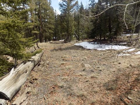 1055 Bowstring Rd, Como, CO 80432 photo 3