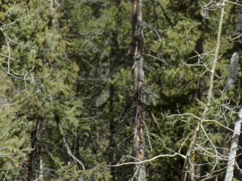 1055 Bowstring Rd, Como, CO 80432 photo 8