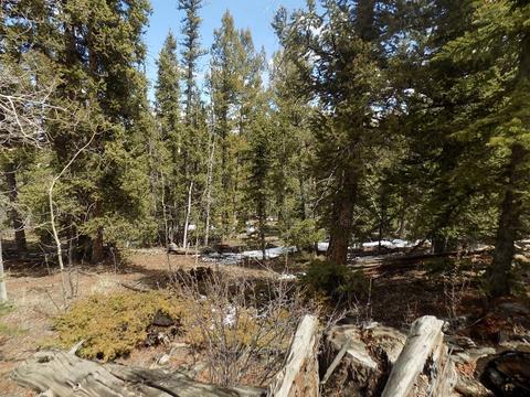 1055 Bowstring Rd, Como, CO 80432 photo 2