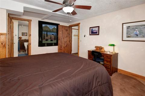 71 Buffalo Dr, Silverthorne, CO 80498 photo 21