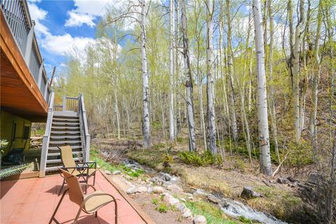 43 Buffalo Ct, Silverthorne, CO 80498 photo 15