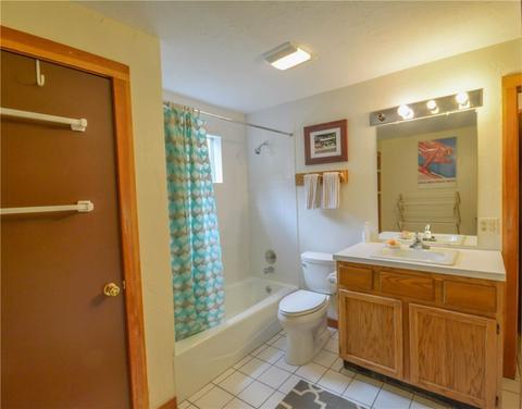 43 Buffalo Ct, Silverthorne, CO 80498 photo 6