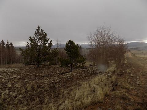 63 Ball Path, Como, CO 80432 photo 3