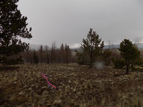 63 Ball Path, Como, CO 80432 photo 4