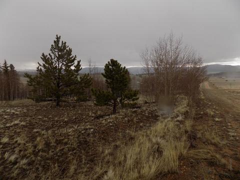 63 Ball Path, Como, CO 80432 photo 6