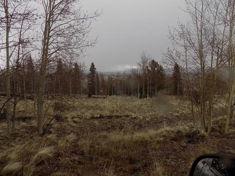 63 Ball Path, Como, CO 80432 photo 8