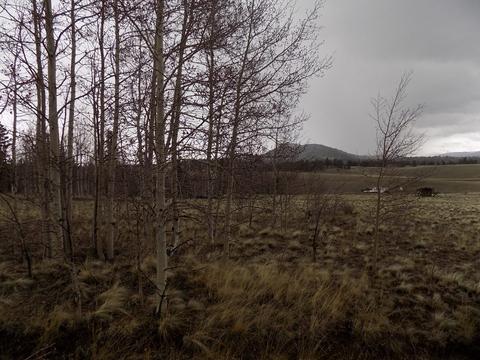 63 Ball Path, Como, CO 80432 photo 1