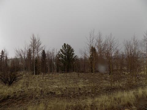 63 Ball Path, Como, CO 80432 photo 10