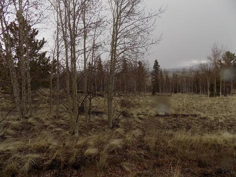 63 Ball Path, Como, CO 80432 photo 9