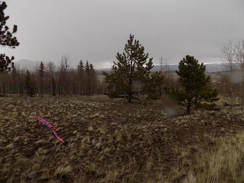 63 Ball Path, Como, CO 80432 photo 7
