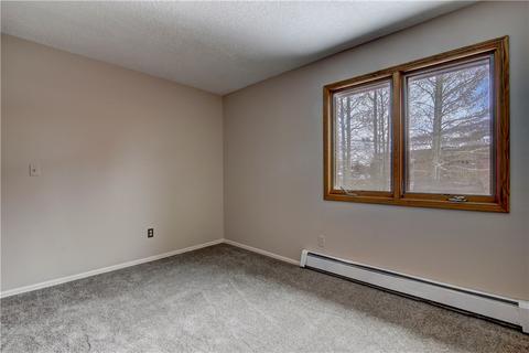 371 Alpine Rd, Dillon, CO 80435 photo 27