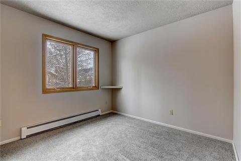 371 Alpine Rd, Dillon, CO 80435 photo 28