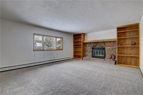 371 Alpine Rd, Dillon, CO 80435 photo 23