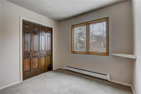 371 Alpine Rd, Dillon, CO 80435 photo 29