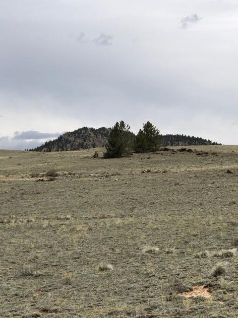 1801 Remington Rd, Como, CO 80432 photo 13