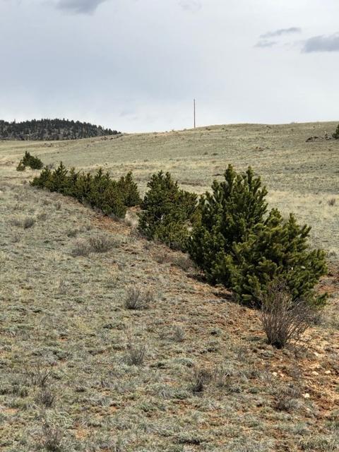 1801 Remington Rd, Como, CO 80432 photo 16