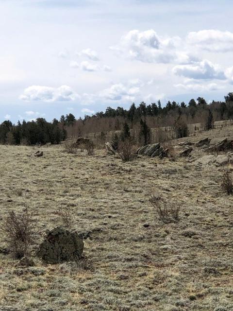 1801 Remington Rd, Como, CO 80432 photo 1