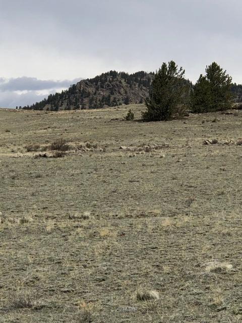 1801 Remington Rd, Como, CO 80432 photo 12