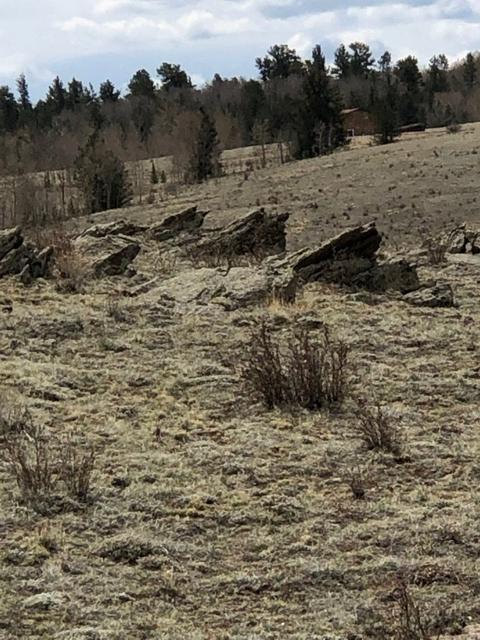 1801 Remington Rd, Como, CO 80432 photo 5