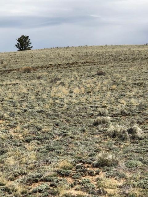1801 Remington Rd, Como, CO 80432 photo 14